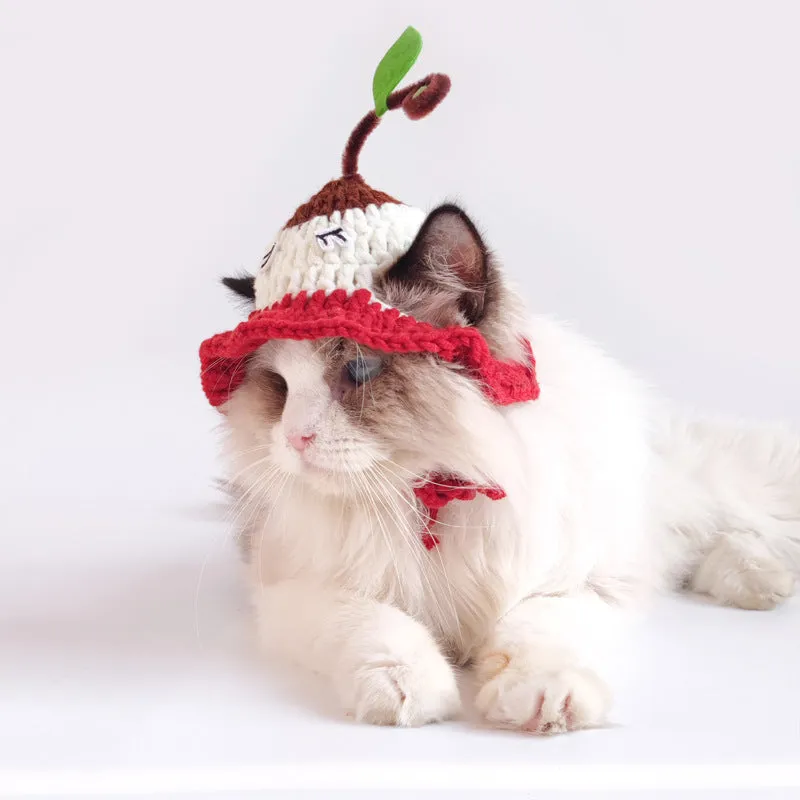 Ozzie - Cute Knitted Cat Hat